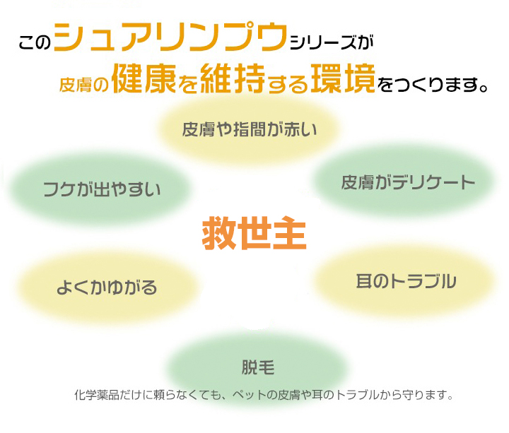 あの納豆菌(BB菌)が、皮膚の健康を維持する環境を作ります。